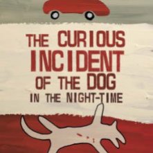 the-curious-incident-of-the-dog-in-the-night-time